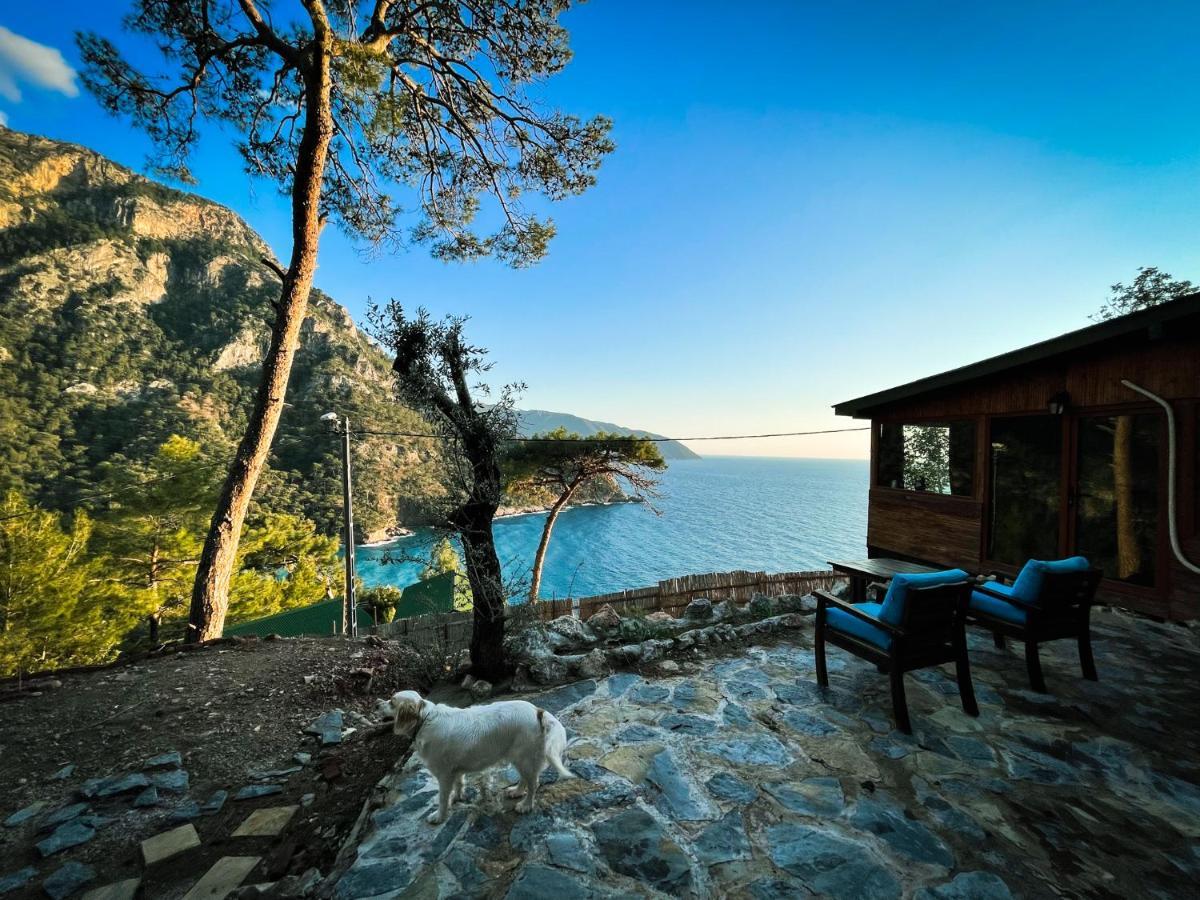 Kabak Uetopya Kamp Faralya Buitenkant foto