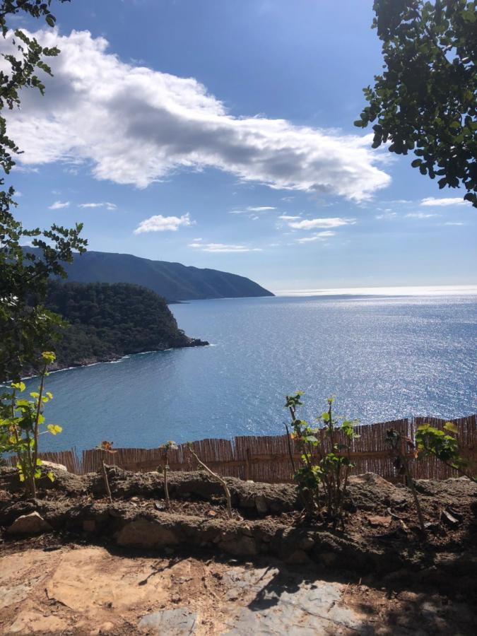 Kabak Uetopya Kamp Faralya Buitenkant foto